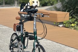 急いで💦　🐶と自転車に乗れる☆バディ－ライダ－入荷！！