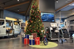 お得なキャンペーン情報🎄