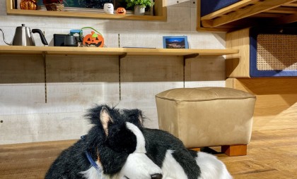 わんことおでかけ🐾