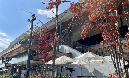 K9xに新しい仲間が増えました🚲