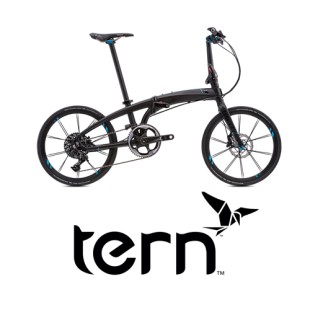 TERN