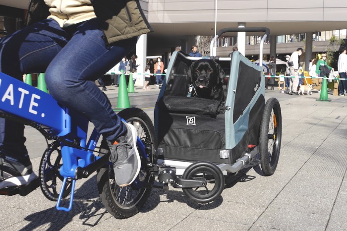 トイファクトリー東京から鶴間公園へ