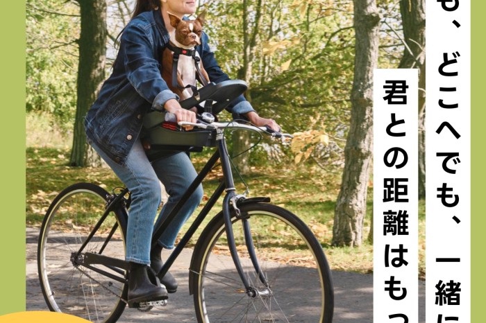 ワンちゃんアイテムのご紹介！！