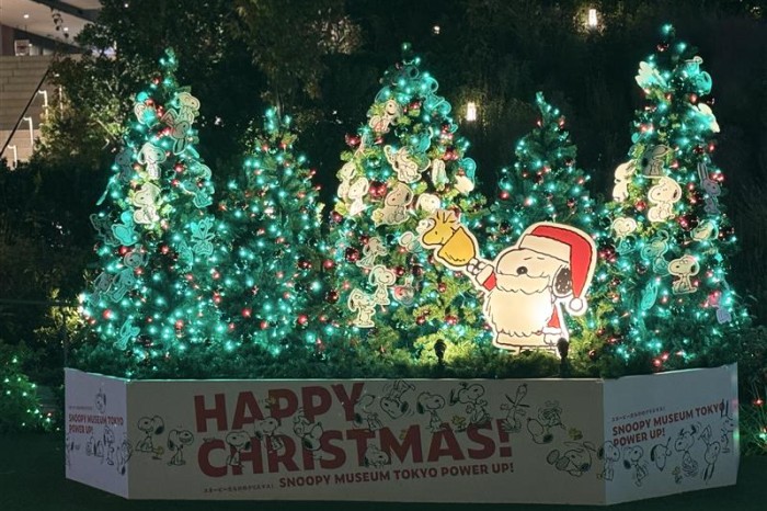 クリスマスプレゼント🎄お早めに✨