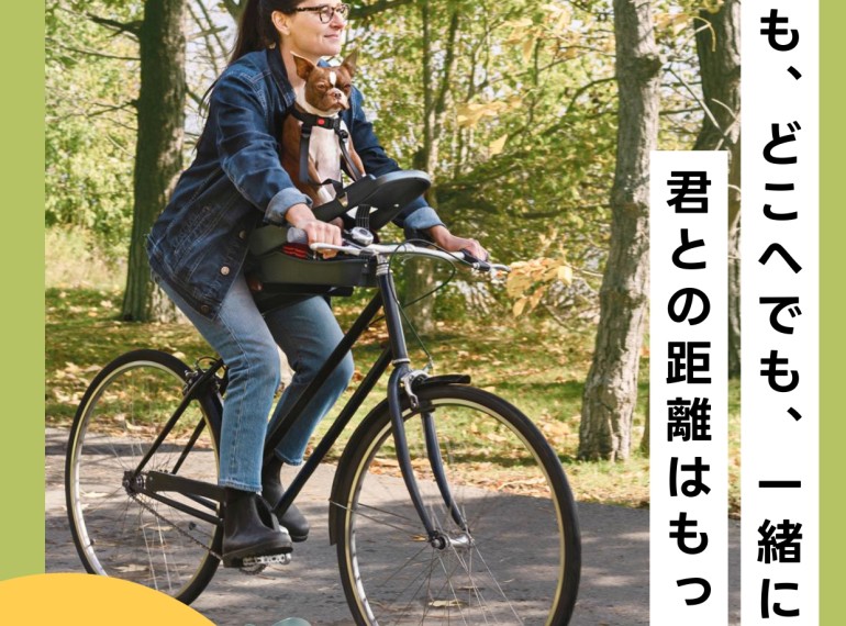 ワンちゃんアイテムのご紹介！！
