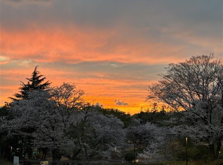 ヨツバサイクル🌸スプリングキャンペ－ン