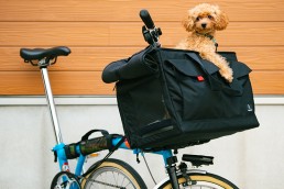 rin project×MIZUTANI BICYCLE コラボレーションBag「BROPET CARRY BAG」発売！！